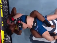 Crditos: Reproduo Youtube UFC Brasil