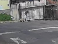 Crditos: Guarda Municipal