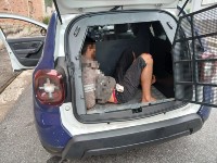 Crditos: Guarda Civil Municipal de Varginha