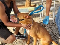 Crditos: Divulgao/Prefeitura de Varginha